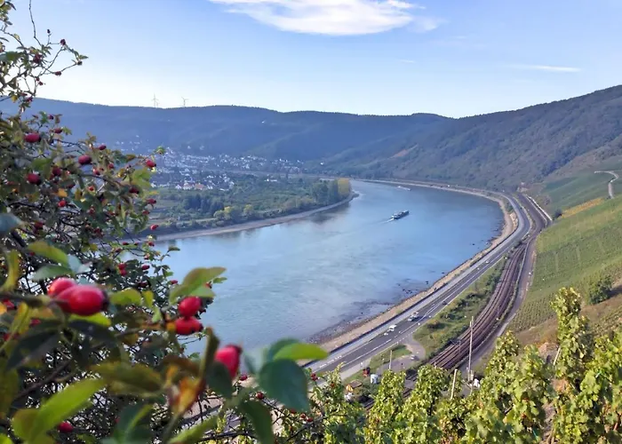 Baudobriga Hotel Boppard