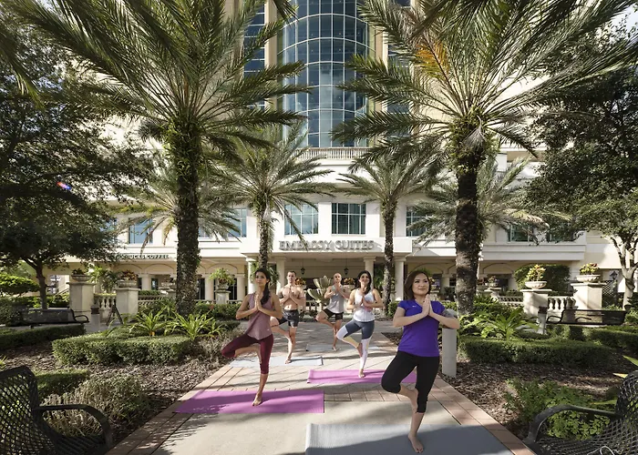 Top Hotels Near Tampa Bay Rays Stadium