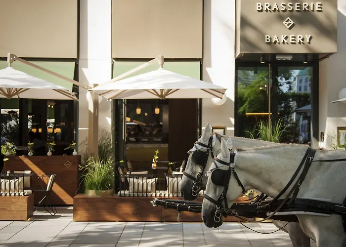 Entdecken Sie die Besten Hotels im Zentrum von Wien